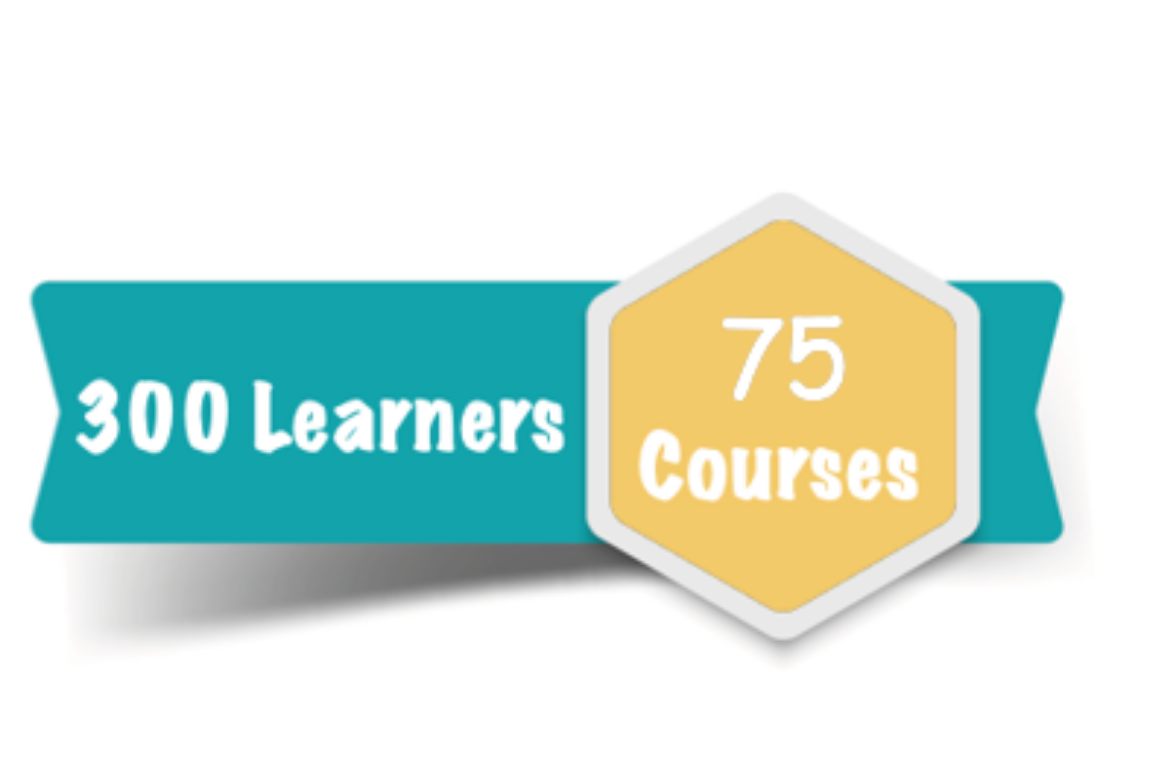 300 Learner Subscription for 75 Courses Online Training Course