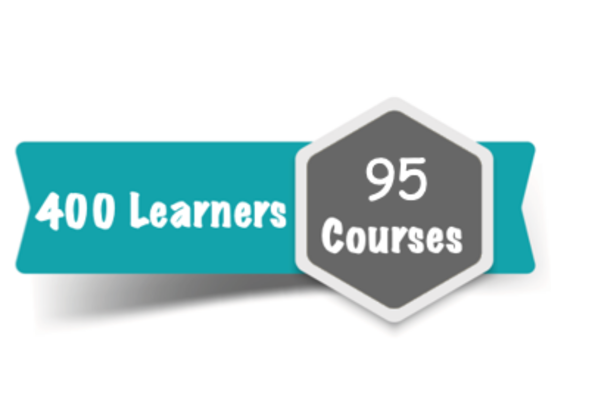 400 Learner Subscription for 95 Courses Online Training Course